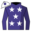Runner silk