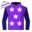 Runner silk