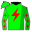 Runner silk
